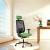 Powerton ERGO LUCIE Ergonomiczny fotel biurowy, Zielony-7 1393 
